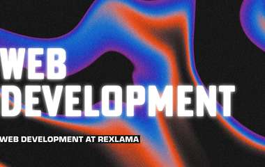 Веб разработка