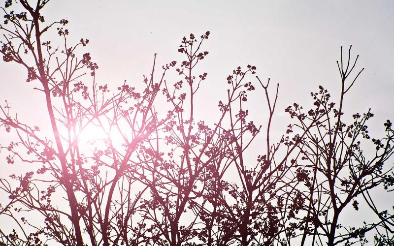 Цифровая трансформация малого бизнеса в Казахстане: опыт предпринимателей