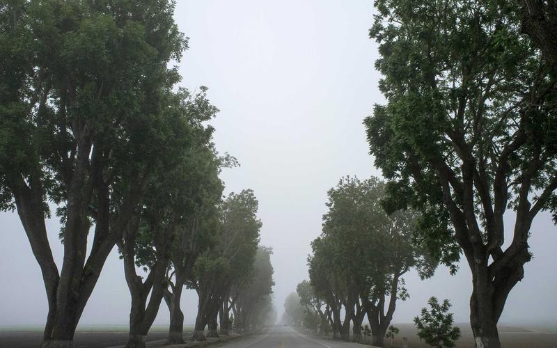 Дизайн-система для бизнеса: зачем она нужна и как создать