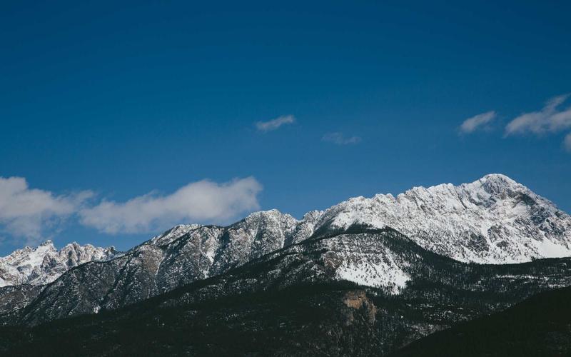 Как анализировать поведение пользователей на сайте и увеличить продажи