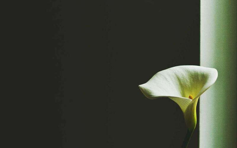 Как настроить SSL-сертификат и HTTPS для сайта в Казахстане