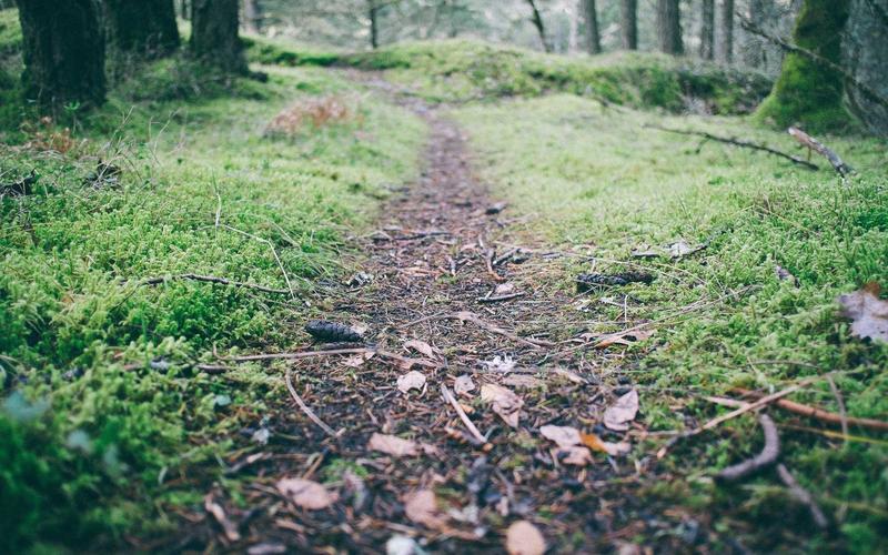 Как выбрать веб-студию в Алматы: советы от экспертов отрасли