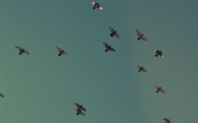 Серверные компоненты React: революция в веб-разработке