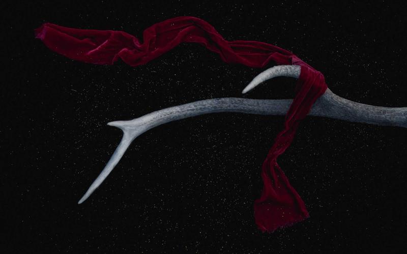 Тренды веб-разработки 2026: что ждёт рынок Казахстана