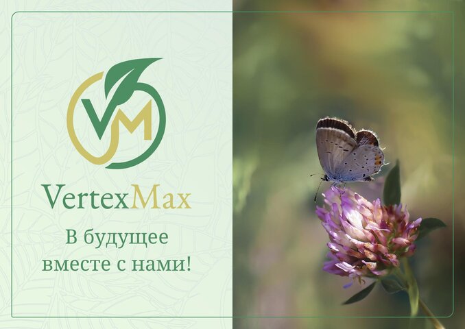 Мультиязычные презентации (6 языков)