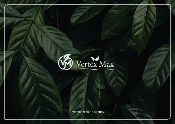 Vertex Max — Руководство по бренду